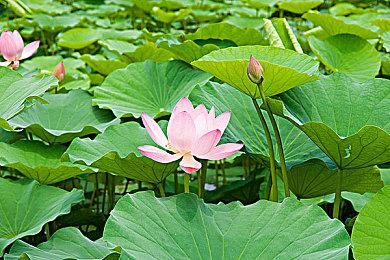 E3 2021：《天外世界2》公布 全新预告片分享